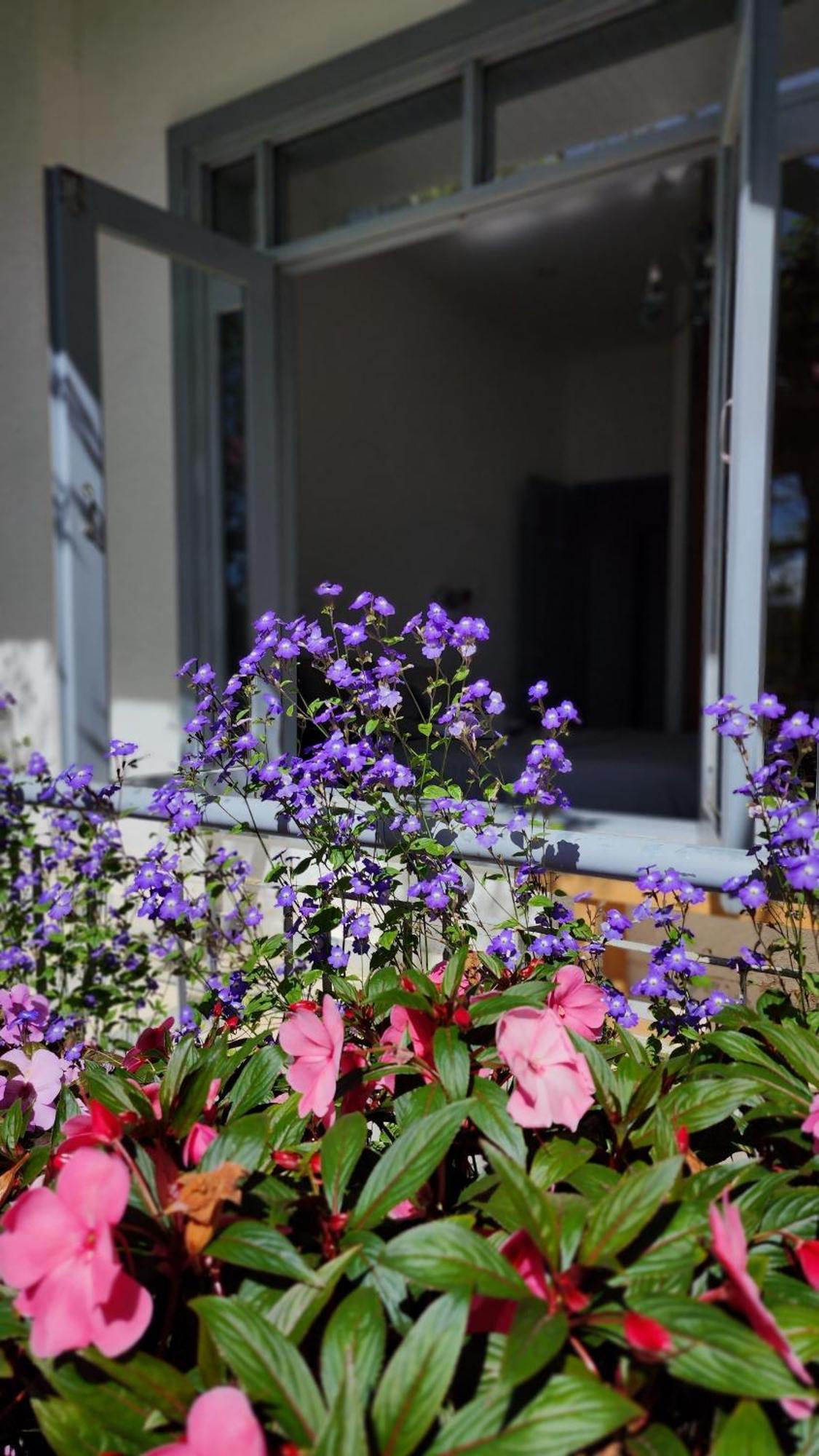 Tia Du Villa Homestay Da Lat Zewnętrze zdjęcie