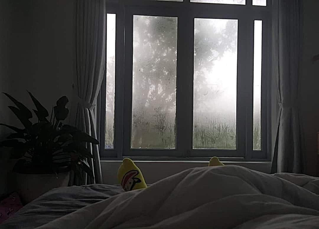 Tia Du Villa Homestay Da Lat Zewnętrze zdjęcie